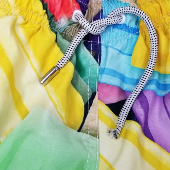 AMS swimwear popsicle print swim shorts multi color size XG beach gym mesh liner - Picture 9 of 10